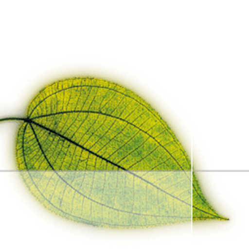 Praxis Claudia Jakumeit